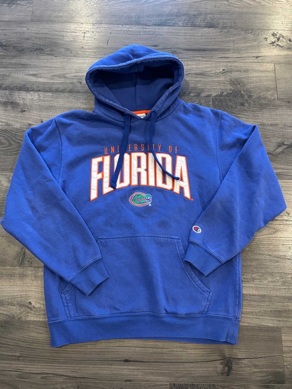 Champion Blue University of Florida Hoodie